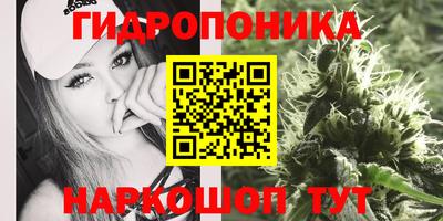 МДПВ Мариинск